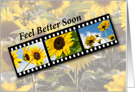 Cataract Surgery Feel Better Sunflower Filmstrip card