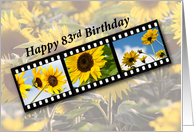 83rd Birthday with Sunflower Filmstrip card