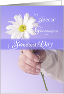 Granddaughter Sweetest Day Daisy on Purple card