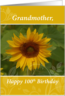 Grandmother 100th Year Sunflower Happy Birthday card