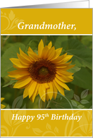 Grandmother 95th Birthday with Sunflower card