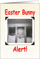 Easter Bunny Alert card