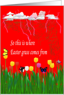 Easter grass storm card