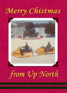 Snowmobile Fun...