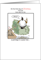 Christmas+1st Day+Partridge in Pear tree+Cartoon Humor card