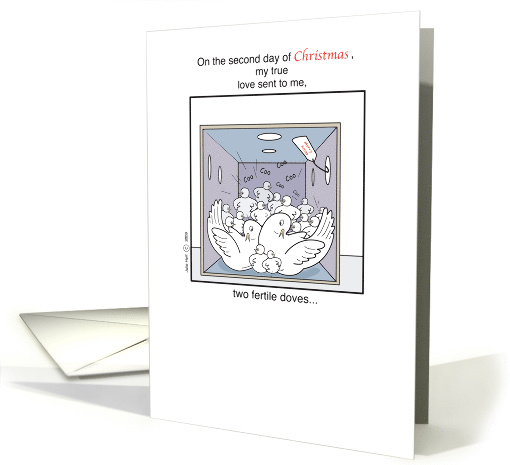 Christmas+2nd Day+turtle doves+fertile+Cartoon+Humor card (479595)