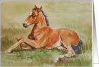 Miss Legs, Filly Watercolor card