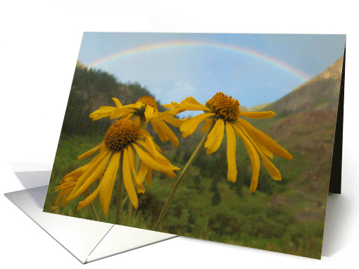 rainbow and flowers blank note card (195756)