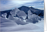 Torreys Peak card