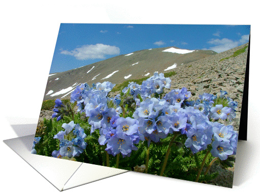 San Luis Peak card (284814)