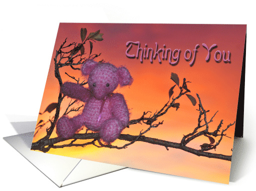 Sunrise Bear Thinking of You card (289022)