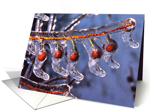 Ice Berry Christmas Stockings card (885139)
