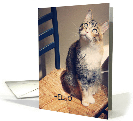 hello with cat on chair card (1127670)