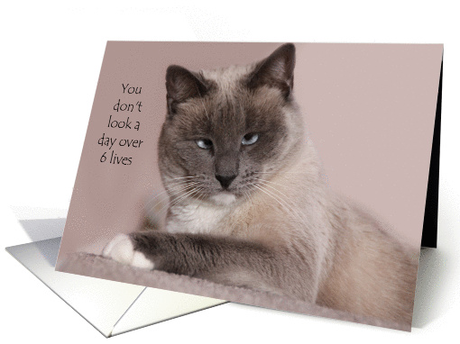 Happy Birthday card (379377)