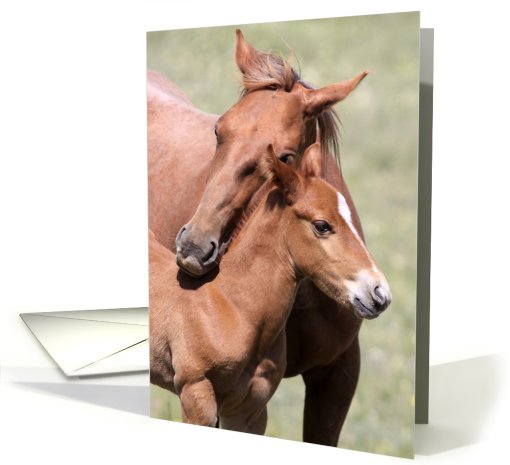 Horse hug card (457416)