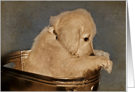 Thinking of you with Golden Retriever puppy in vintage tub card