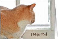 Miss You for friend with tabby cat looking out of a window card