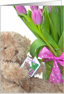 Get Well Soon for Appendectomy, Teddy Bear with Pink Tulips card