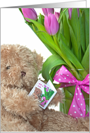 Just a Note teddy bear with pink tulip bouquet card