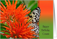 Cousin’s Birthday - butterfly in orange blossom card