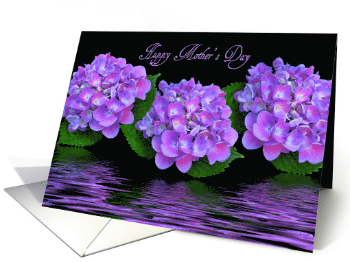 Mother's Day for Grandma, purple hydrangeas with water reflection card