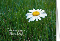 Sister’s Name Day-close up of a single white daisy in grass card