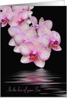 Loss of Son sympathy-orchids with water reflection on black card