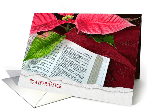 Pastor's Christmas, open Holy Bible with poinsettia and red tulle card
