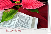 Pastor’s Christmas, open Holy Bible with poinsettia and red tulle card