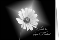 White Daisy Illuminated On Black For Loss of Husband card