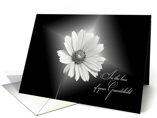 Loss of grandchild sympathy-white daisy illuminated on black card