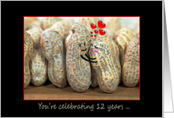 12th Wedding Anniversary, peanuts with red hearts in black frame card