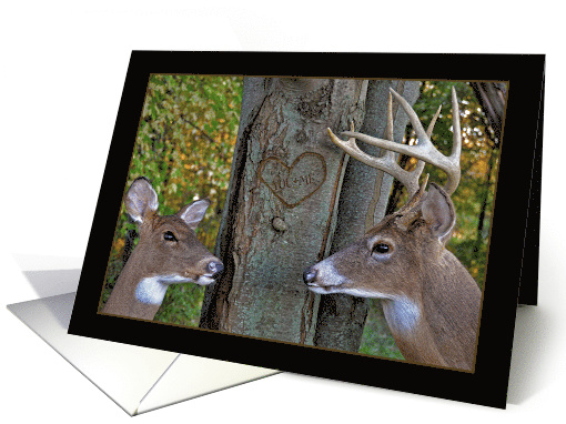 Valentine's Day buck and doe on woods with carved heart on tree card