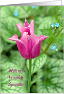 Heartfelt Sympathy pink tulip in spring garden. card