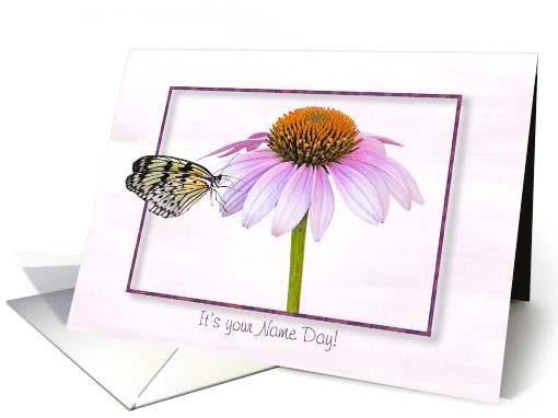 Name Day butterfly on a cone flower with shadowed frame card (1280494)