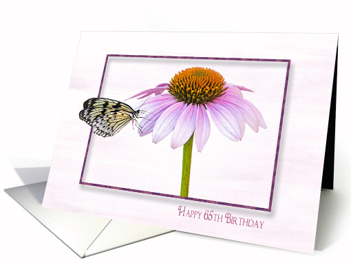 65th Birthday-butterfly on a cone flower with shadowed frame card