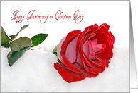 Anniversary for Wife on Christmas Day red rose in snow card