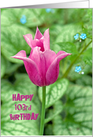 103rd Birthday bright pink tulip with hostas background card