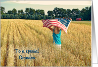 Thank You to Grandpa on Veterans Day-girl with flag in field card