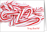 Secret Pal’s Christmas-pile of candy canes with heart card