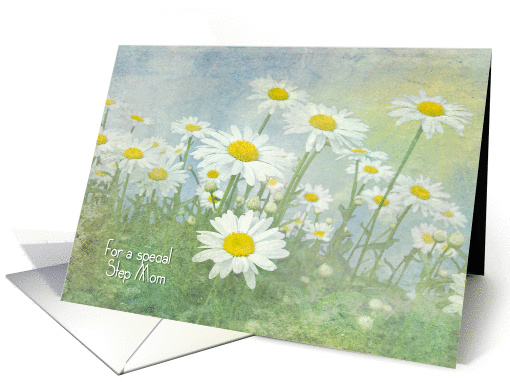 Birthday for Step Mom-white daisies in field with soft texture card