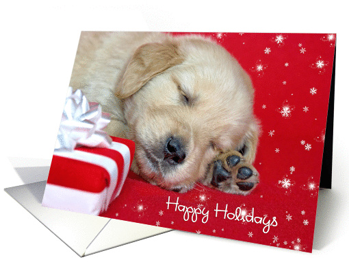 Happy Holidays for Parents-golden retriever pup with gift card