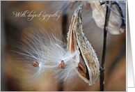 Loss of Father milkweed with fluffy seed card