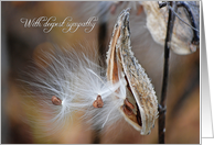 Loss of Brother, milkweed with fluffy seed card