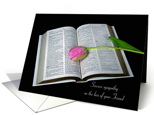 Loss of Friend pink tulip on open Holy Bible on black card (1317554)