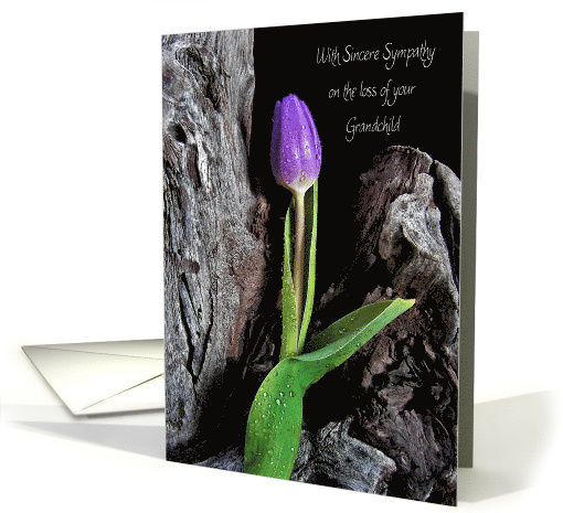 Loss of Grandchild purple tulip with raindrops on driftwood card