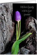 Loss of Grandchild purple tulip with raindrops on driftwood card