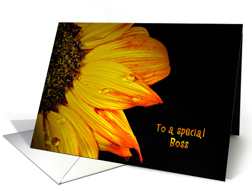 Birthday for Boss-close up of a sunflower with water droplets card