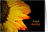 Name Day for Sister-close up of a sunflower with water droplets card