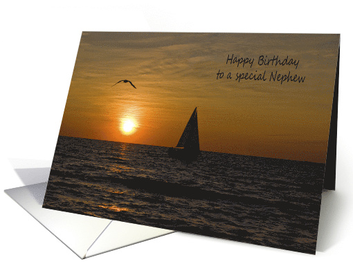 Nephew's Birthday sailboat sailing on lake at sunset with seagull card